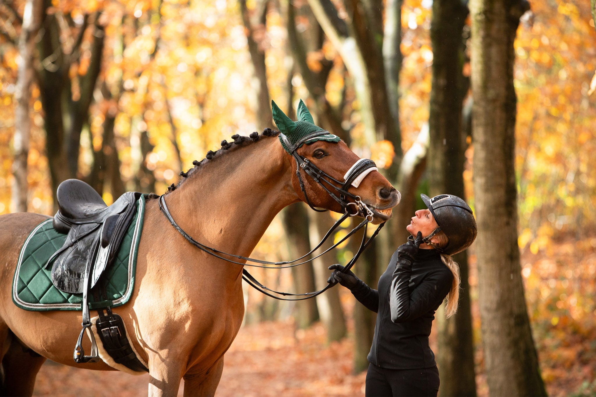 Pine Grove Saddle Pad - Equine Exchange Tack Shop