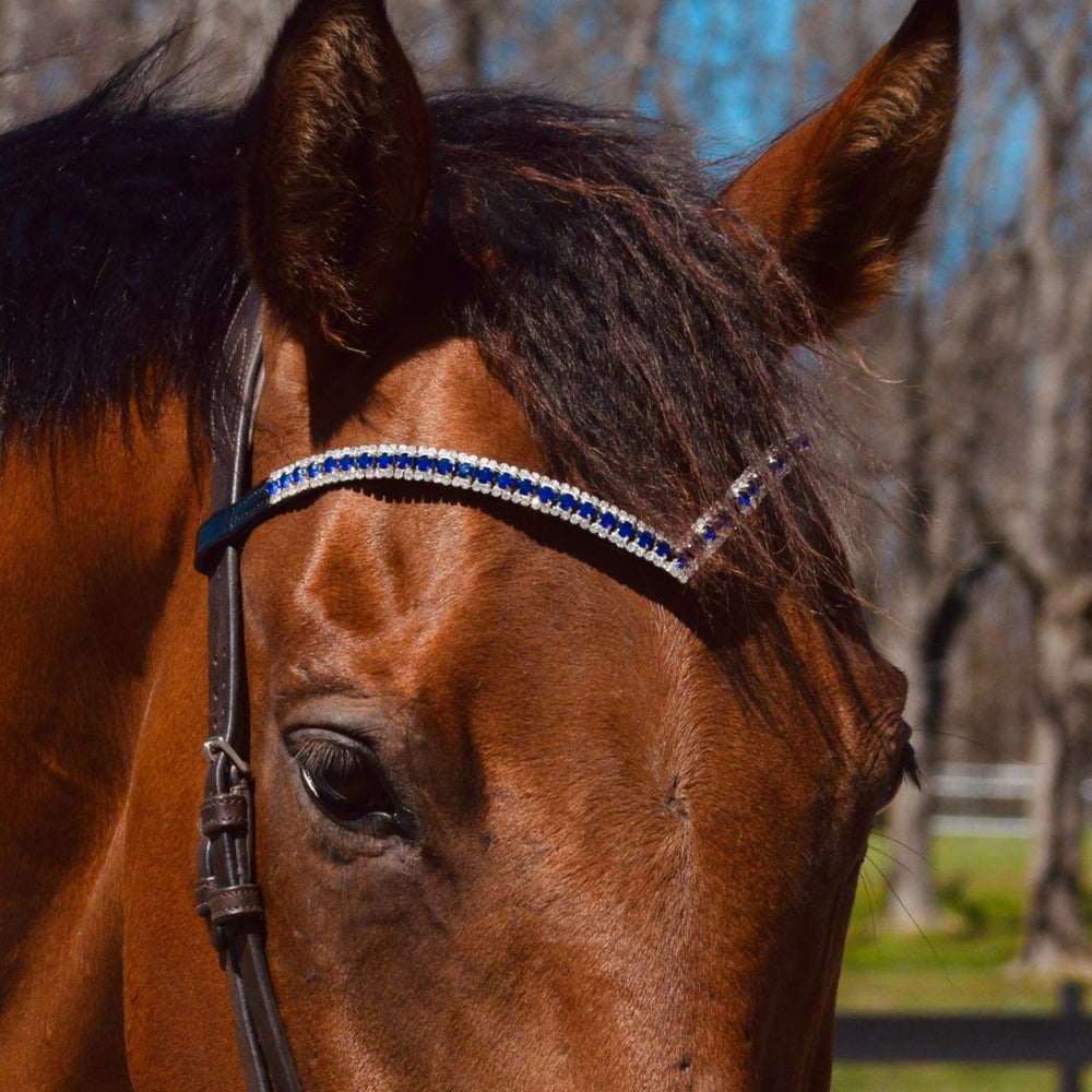 Blue Astra Browband - Equine Exchange Tack Shop