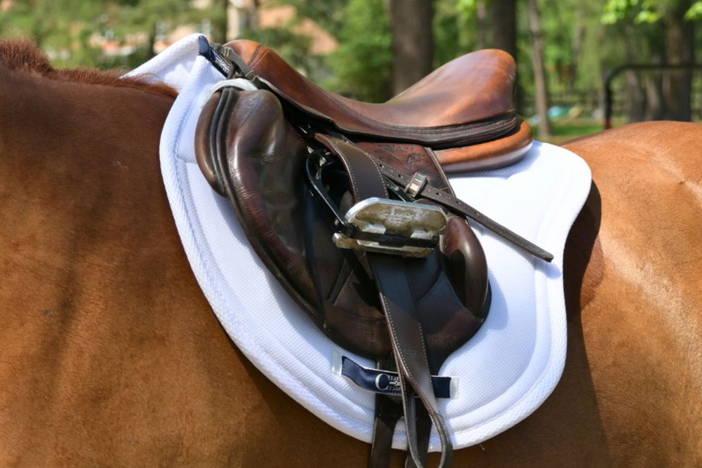 Contour Jump Mesh Saddle Pad with Quick Dry Cotton Lining in Navy, White or Black - Equine Exchange Tack Shop