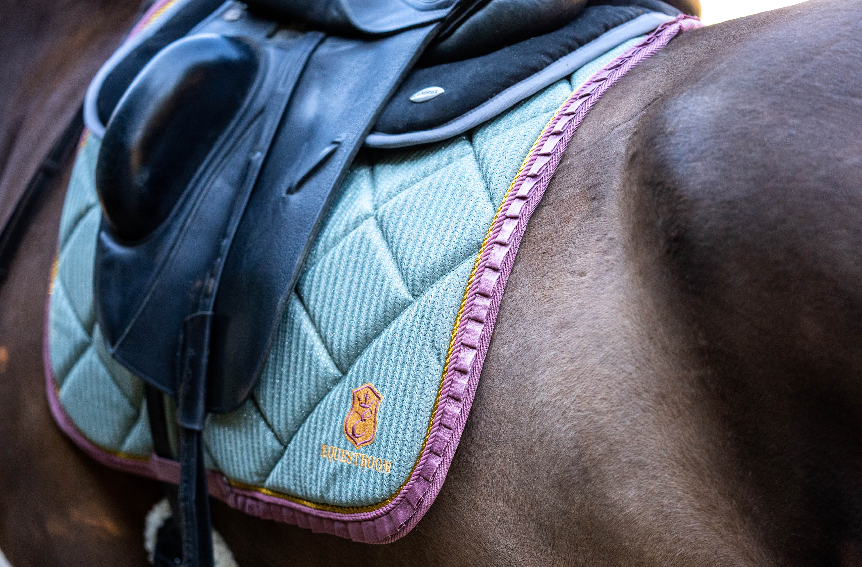 Teaparty Green Saddle Pad (Limited Edition) - Equine Exchange Tack Shop