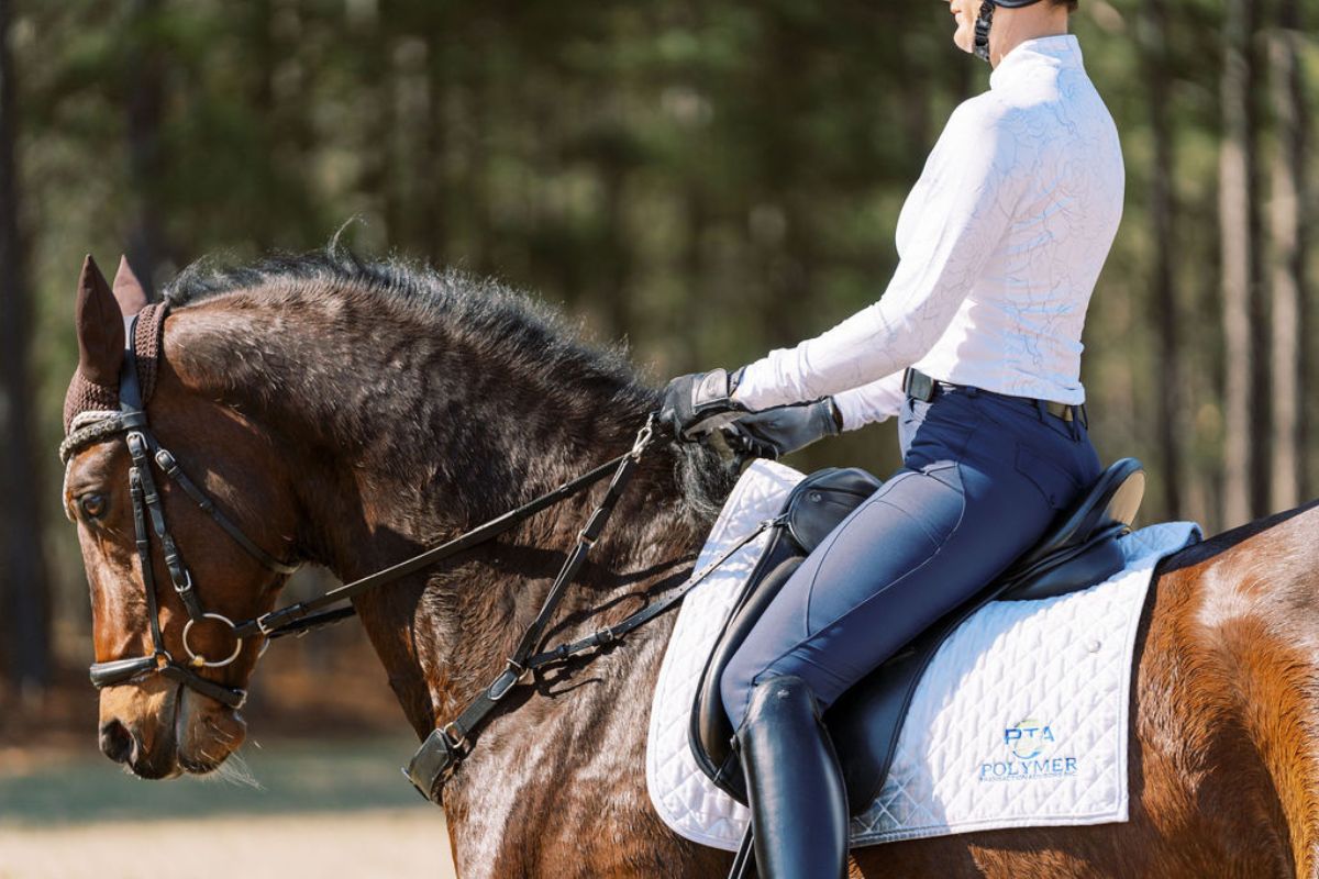 3-in-1 Training Breastplate - Equine Exchange Tack Shop