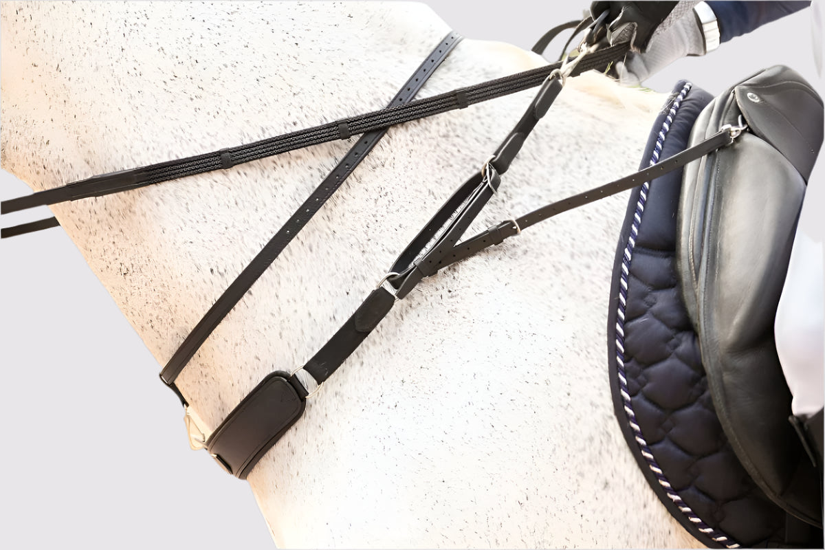 3-in-1 Training Breastplate - Equine Exchange Tack Shop