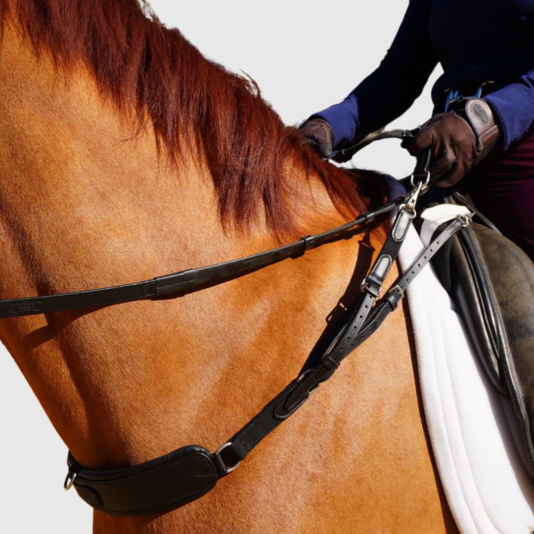 3-in-1 Training Breastplate - Equine Exchange Tack Shop