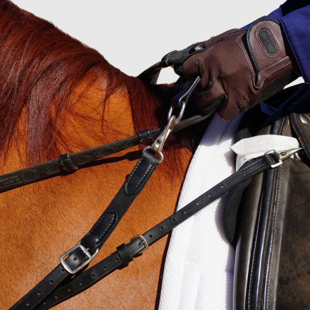 3-in-1 Training Breastplate - Equine Exchange Tack Shop