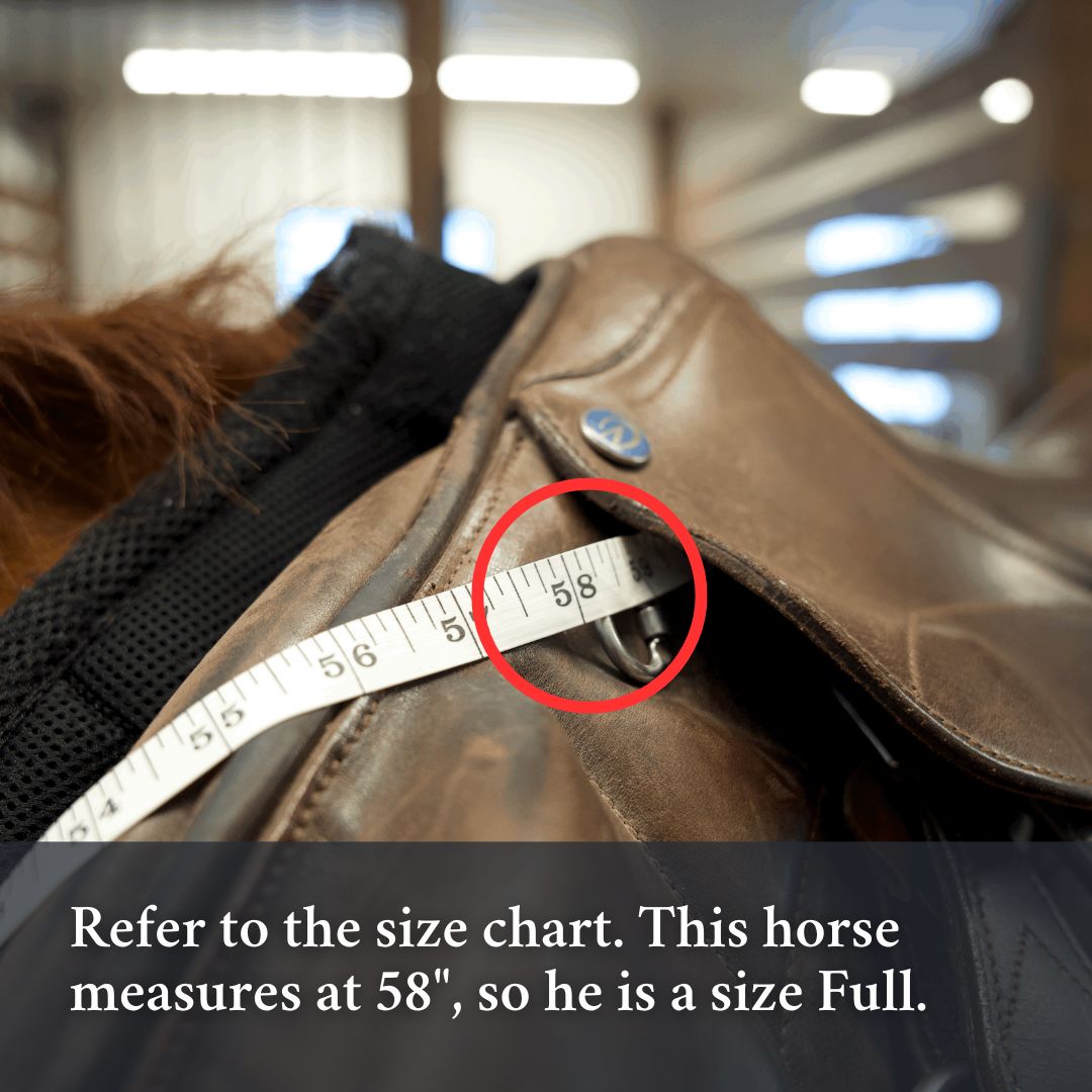 3-in-1 Training Breastplate - Equine Exchange Tack Shop