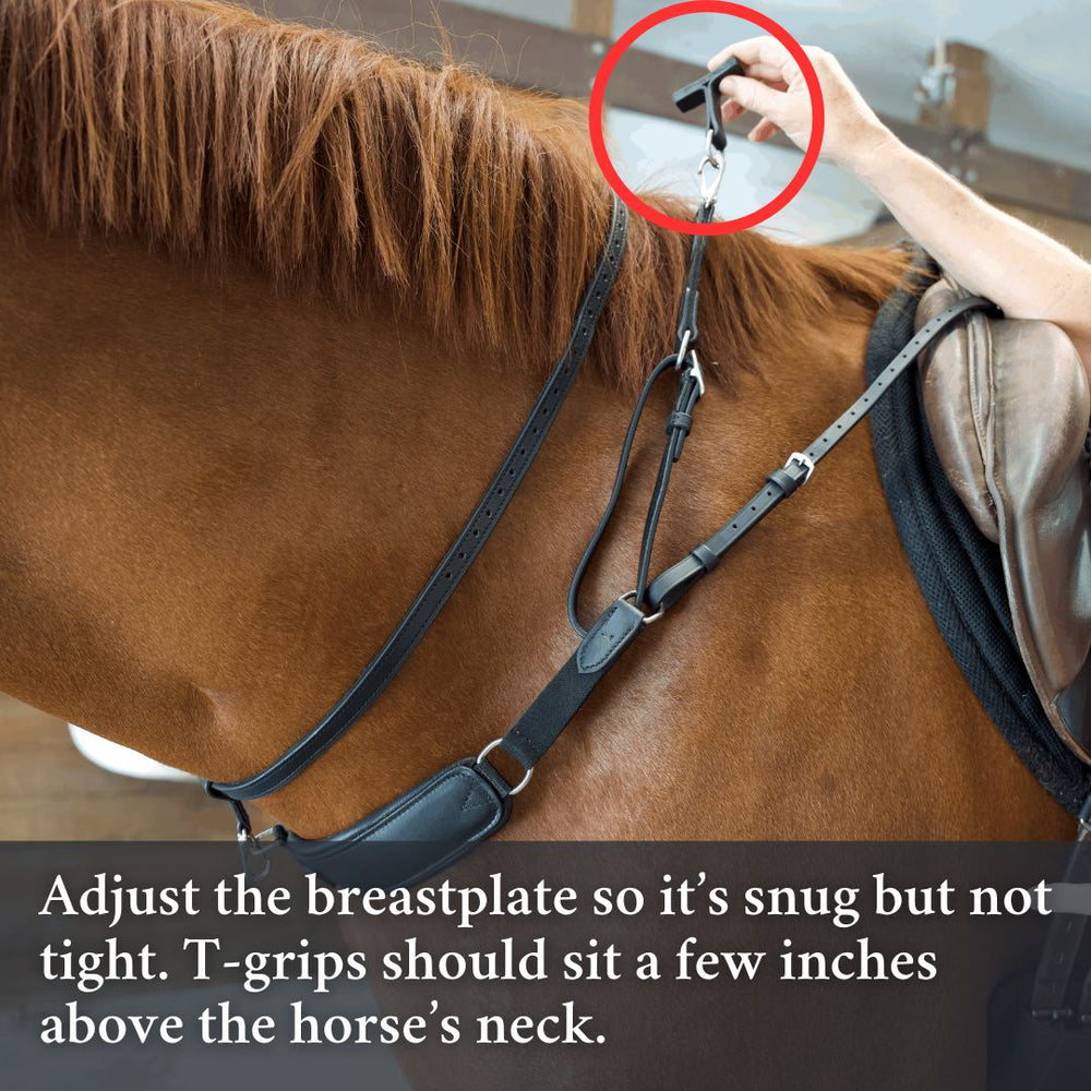 3-in-1 Training Breastplate - Equine Exchange Tack Shop