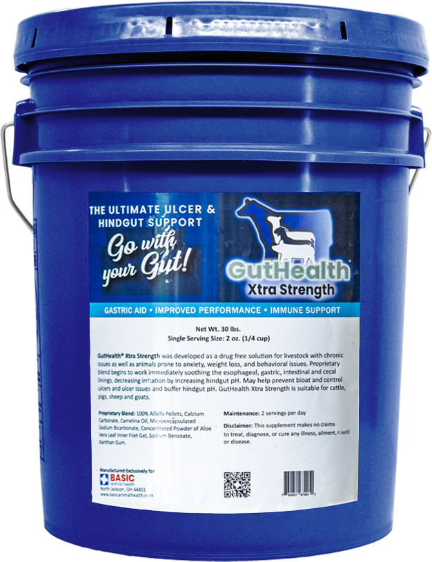 GutHealth Xtra Strength Pellets Supplement for Livestock - Equine Exchange Tack Shop