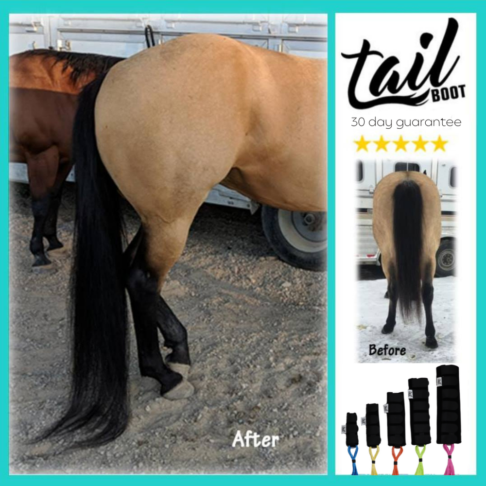 The Tail Boot