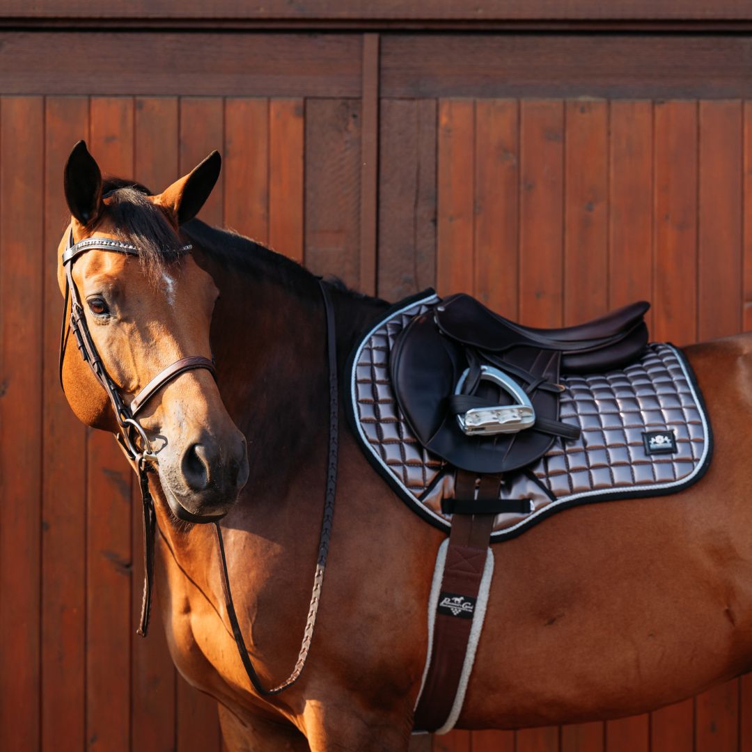 Spaceship Grey Saddle Pad - Equine Exchange Tack Shop