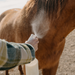 1 Hour Fly Pony Protector Spray - Equine Exchange Tack Shop