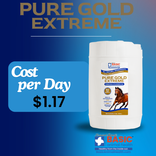 Pure Gold Extreme for Horses