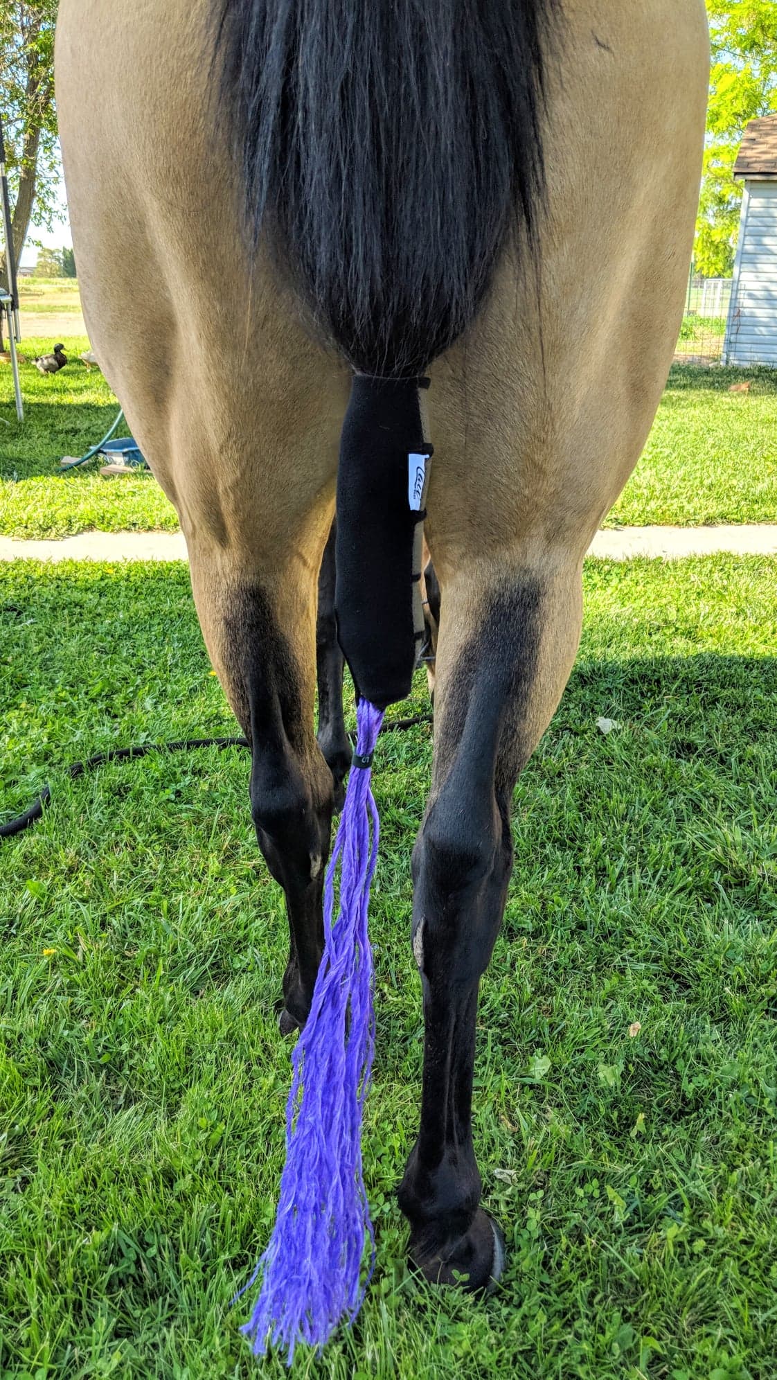 The Tail Boot - Equine Exchange Tack Shop