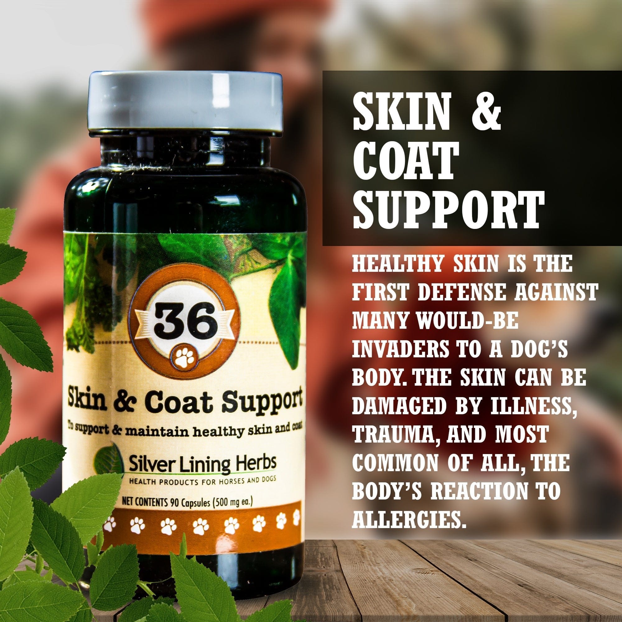 36 Skin & Coat Support for Canines - Equine Exchange Tack Shop