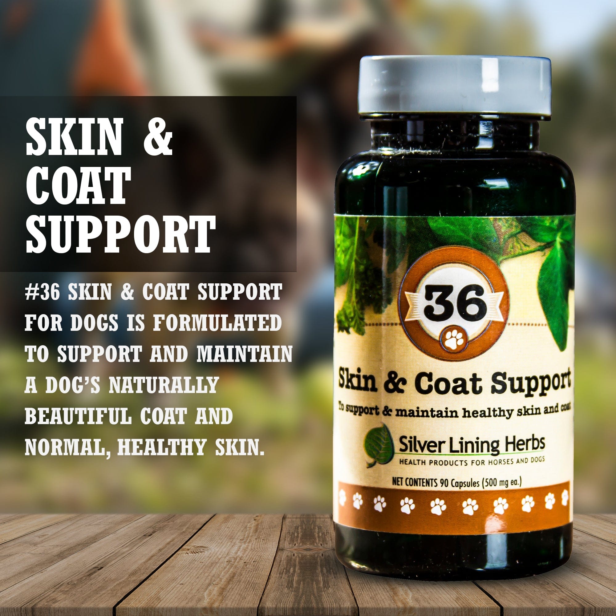 36 Skin & Coat Support for Canines - Equine Exchange Tack Shop