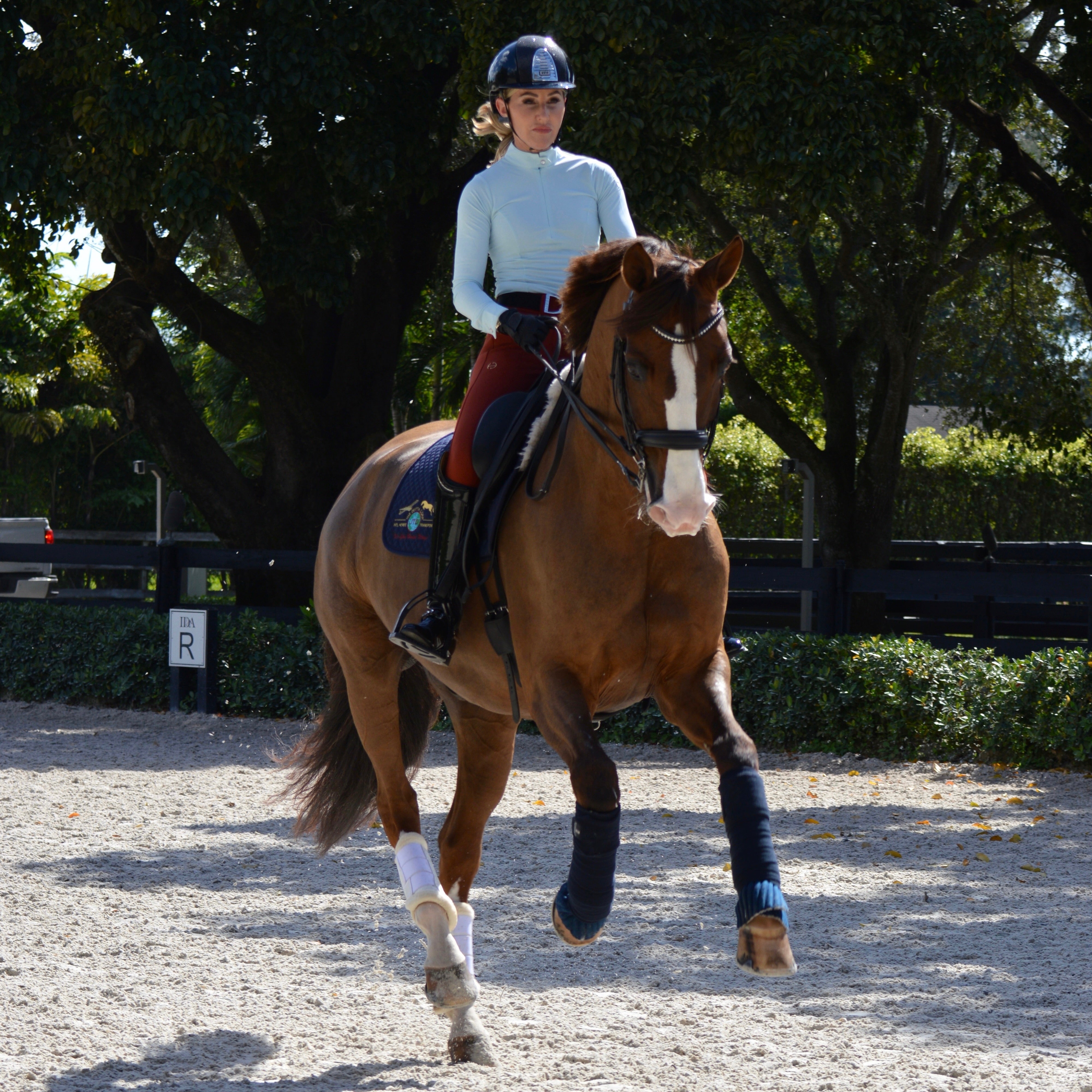 Nadia - Long Sleeve Riding Shirt - Equine Exchange Tack Shop