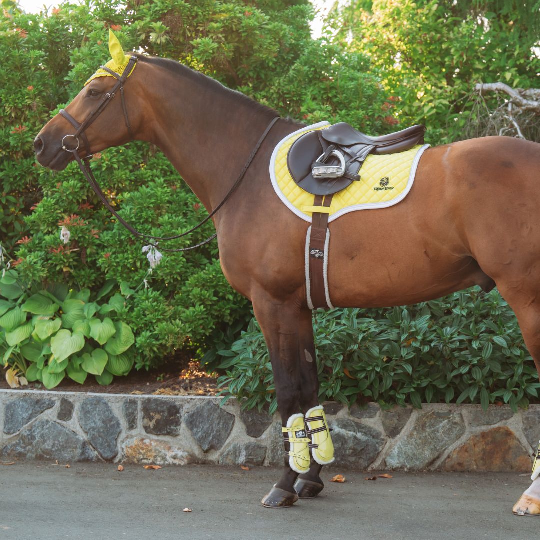 Mimosa Saddle Pad Set - Equine Exchange Tack Shop