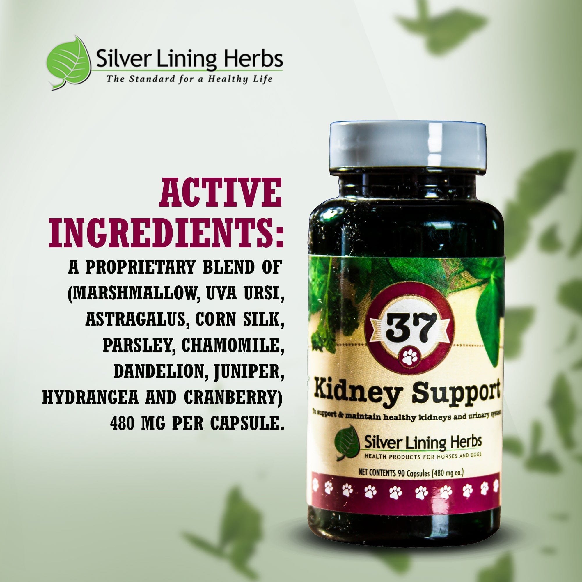 37 Kidney Support for Canines -  90 Capsule - Equine Exchange Tack Shop