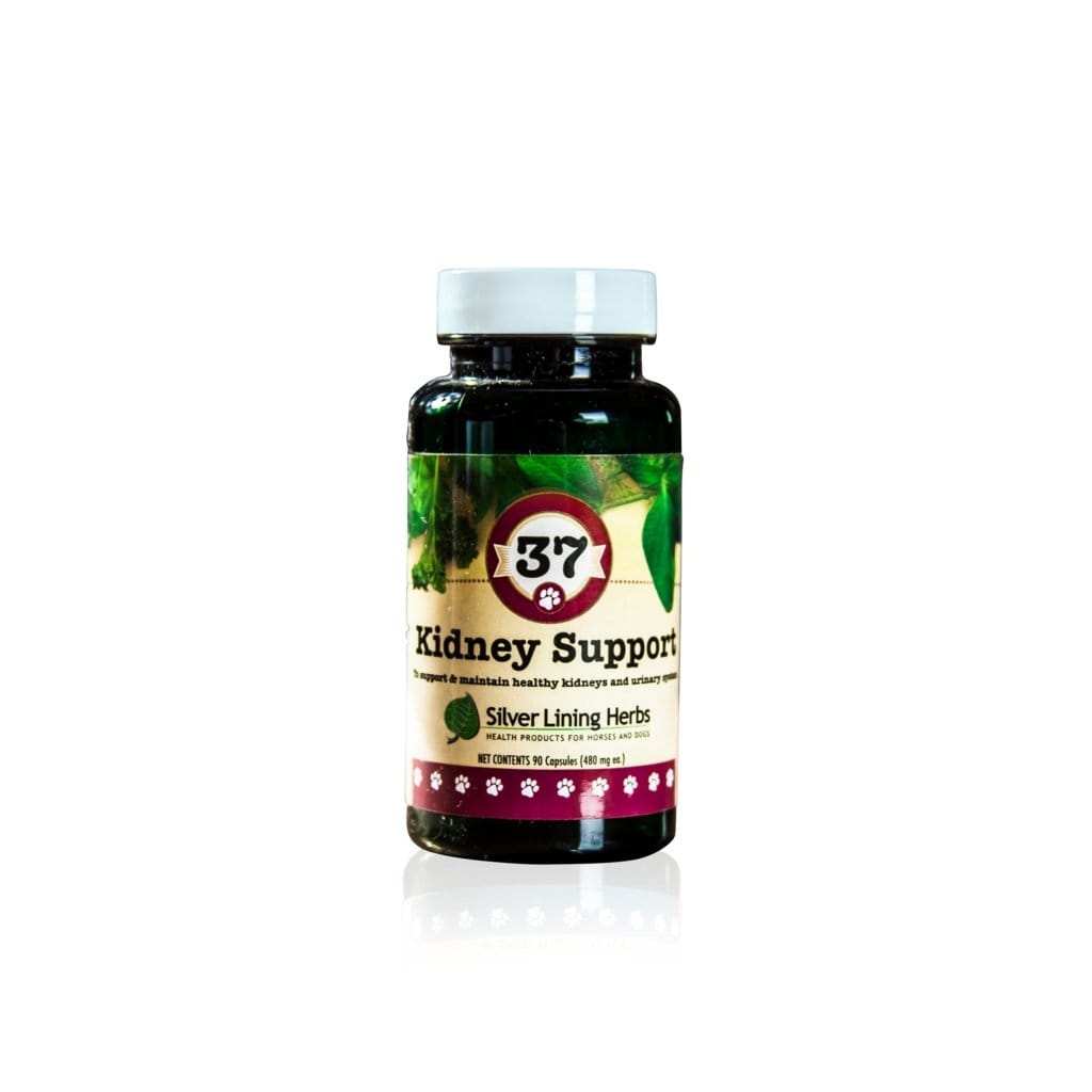 37 Kidney Support for Canines -  90 Capsule - Equine Exchange Tack Shop