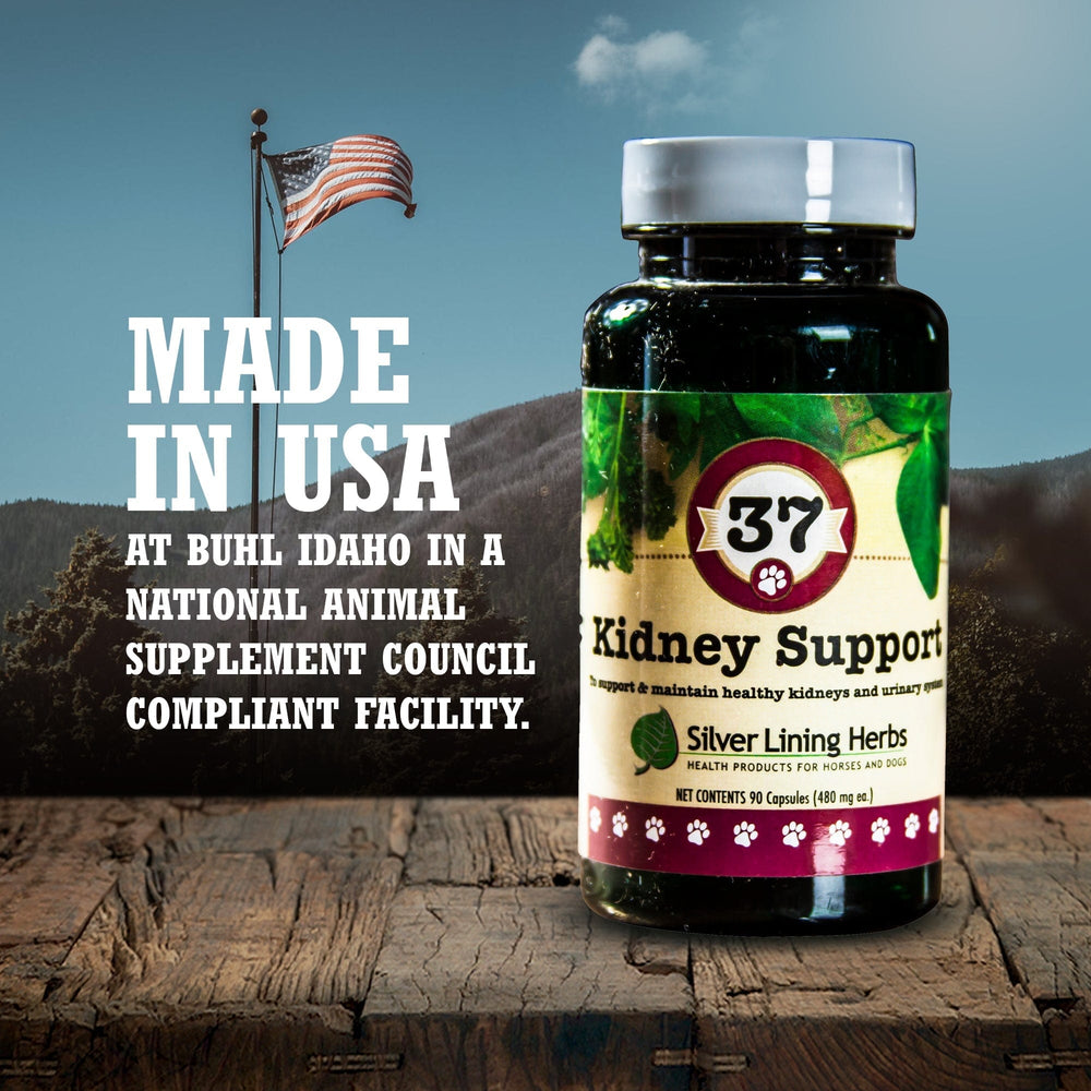 37 Kidney Support for Canines -  90 Capsule - Equine Exchange Tack Shop