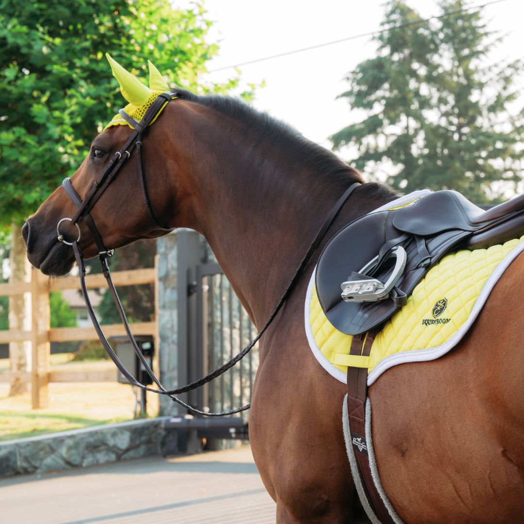 Mimosa Saddle Pad Set - Equine Exchange Tack Shop