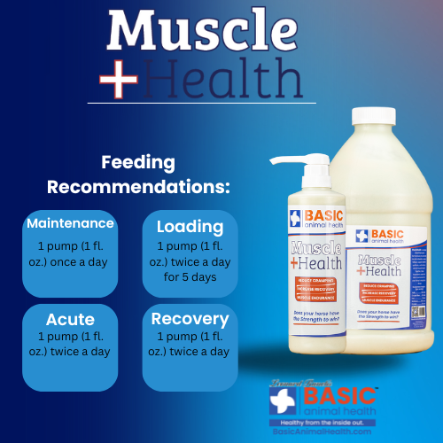 MuscleHealth Gel Supplement for Horses - Bottles - Equine Exchange Tack Shop