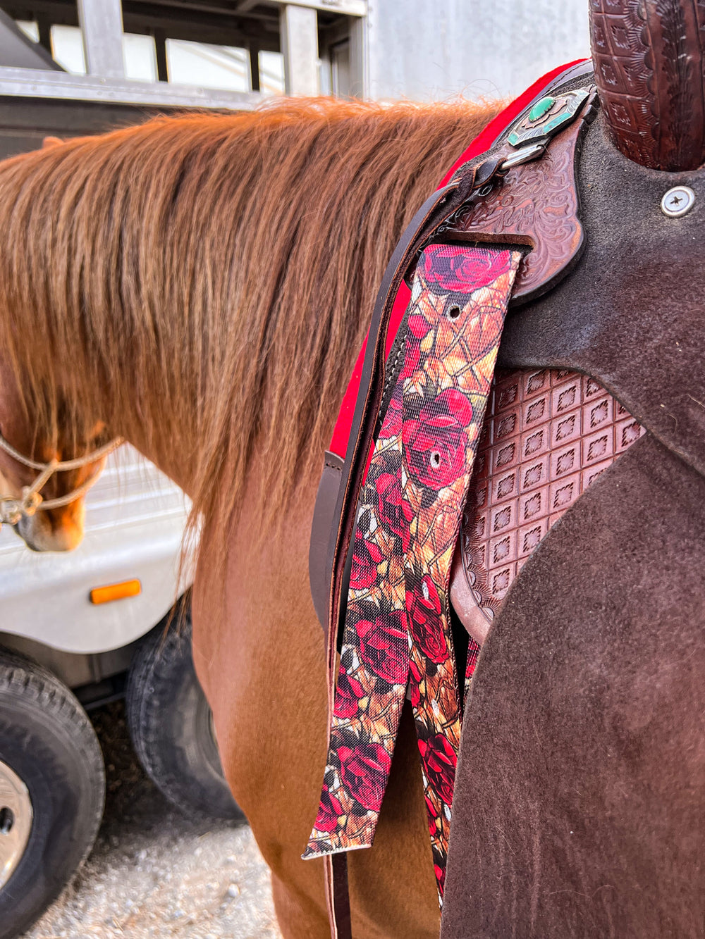 Beauty on a Beast Cinch Strap Set - Equine Exchange Tack Shop