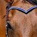 Blue Astra Browband - Equine Exchange Tack Shop