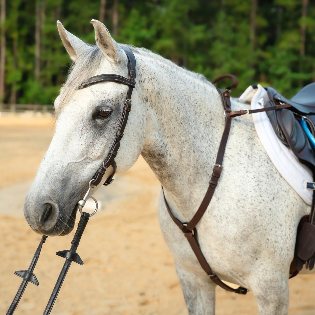 3-Point Breastplate with Double Neck Strap - Equine Exchange Tack Shop