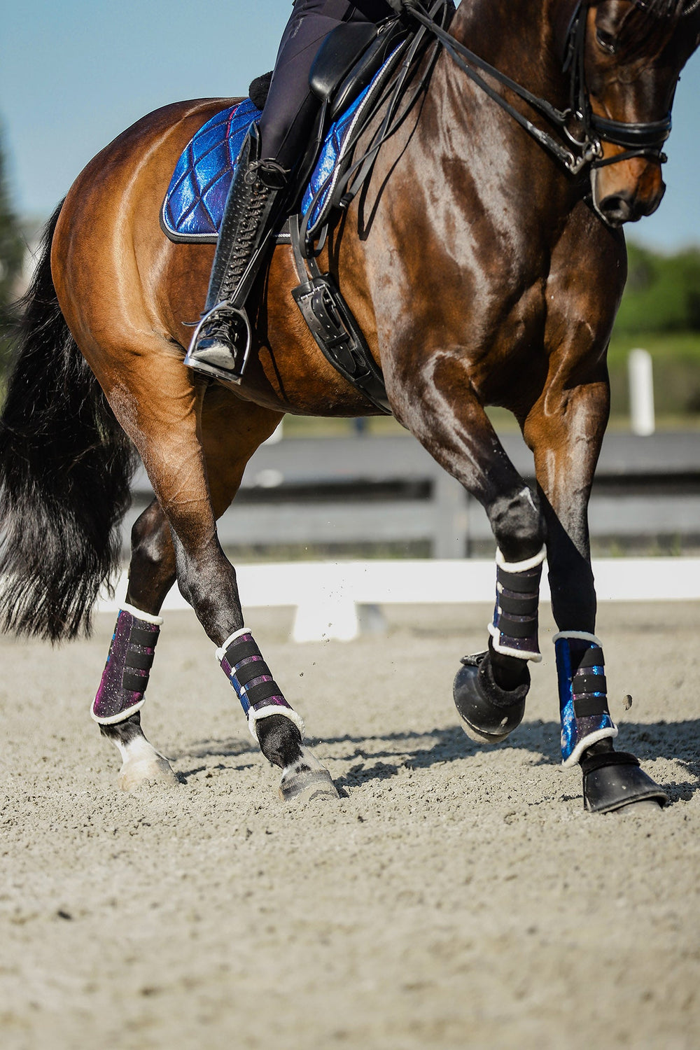 Ultraviolet Brushing Boots - Equine Exchange Tack Shop
