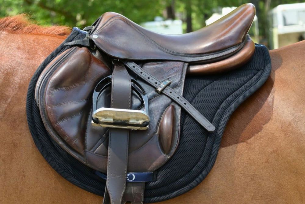 Contour Jump Mesh Saddle Pad with Quick Dry Cotton Lining in Navy, White or Black - Equine Exchange Tack Shop