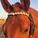 Holographic Saddle Pad Set - Equine Exchange Tack Shop