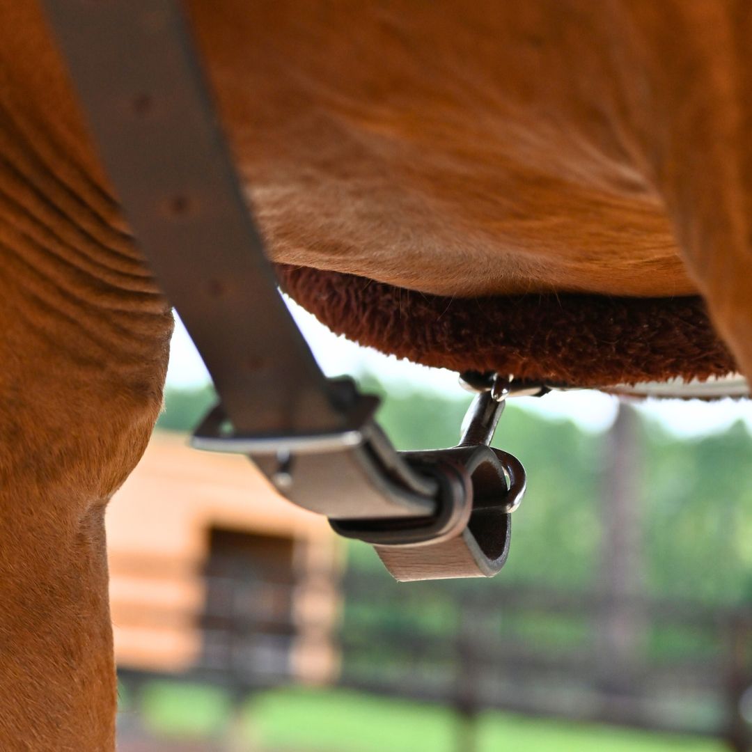 3-Point Breastplate with Double Neck Strap - Equine Exchange Tack Shop