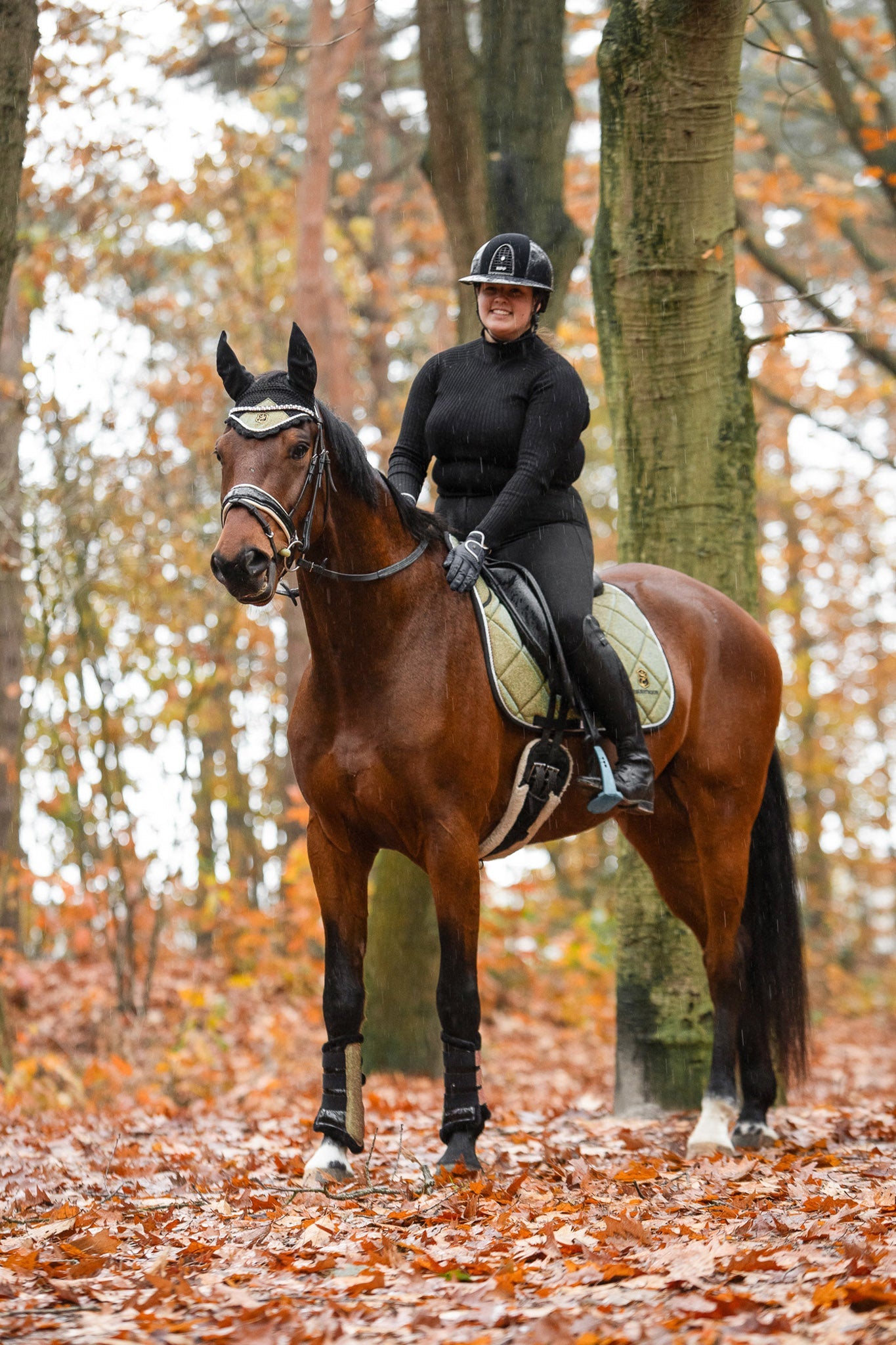 Astris Saddle Pad Set - Equine Exchange Tack Shop