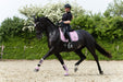 Pink Mist Brushing Boots - Equine Exchange Tack Shop