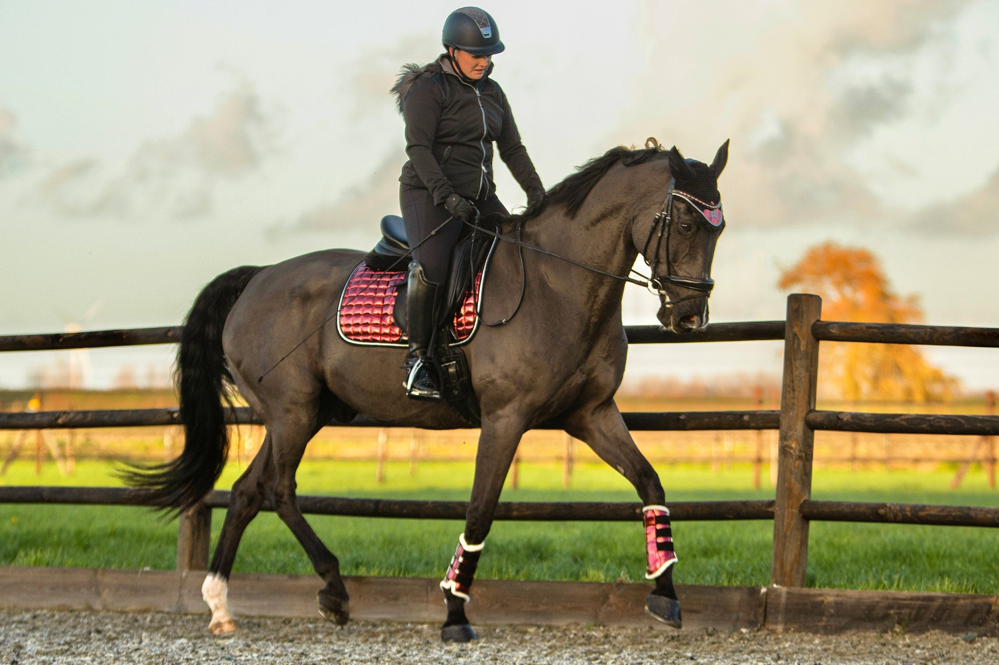 Electric Red Brushing Boots - Equine Exchange Tack Shop
