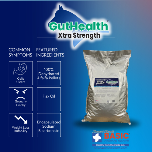 GutHealth Xtra Strength Pellets Supplement for Horses - Equine Exchange Tack Shop