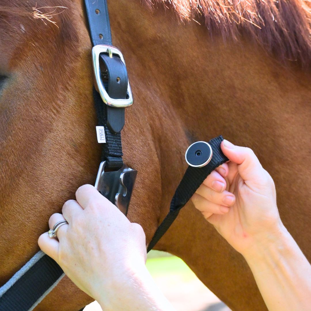 Magna Halter ™ in Black with Fleece Noseband and Leather Breakaway - Equine Exchange Tack Shop