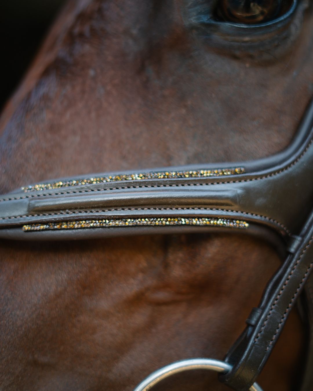 Hidden Flash!  Pro-fit Comfortable Bridle with Patent Noseband and Crystal Browband - Equine Exchange Tack Shop
