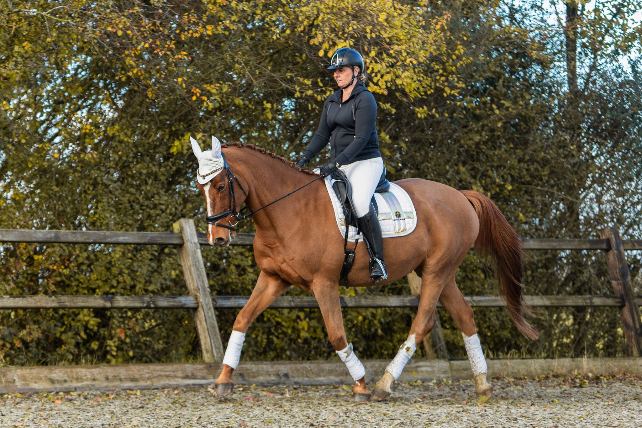 Snowlight Saddle Pad - Equine Exchange Tack Shop