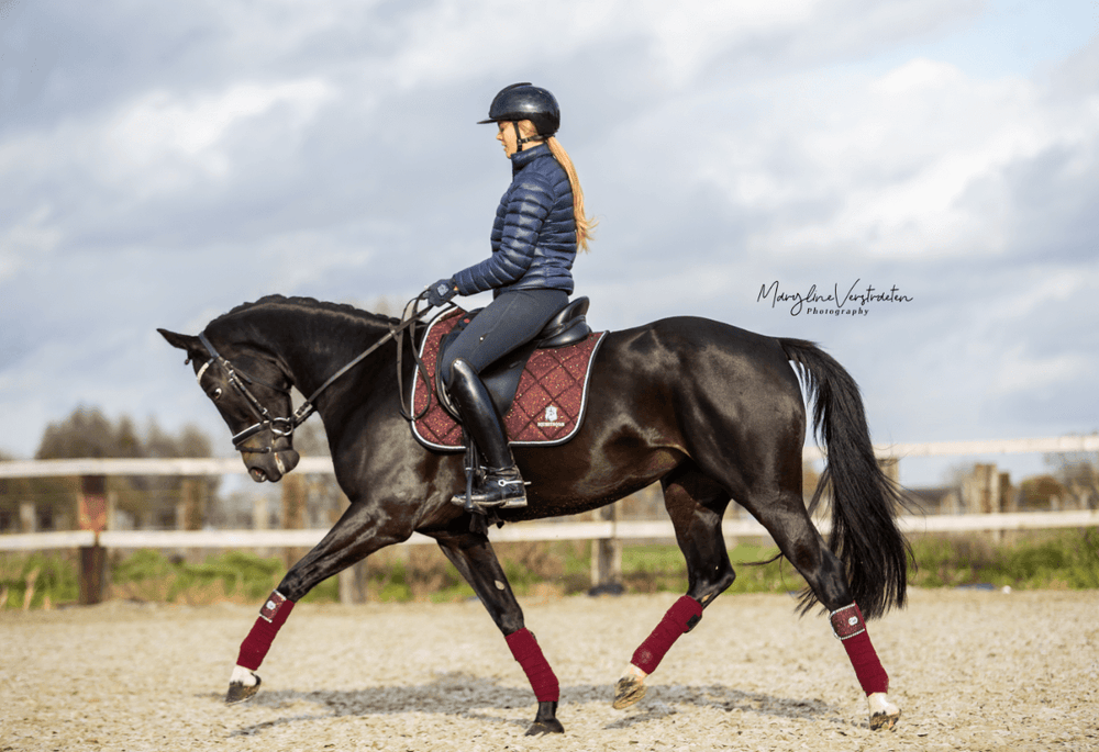 Burgundy Saddle Pad Set