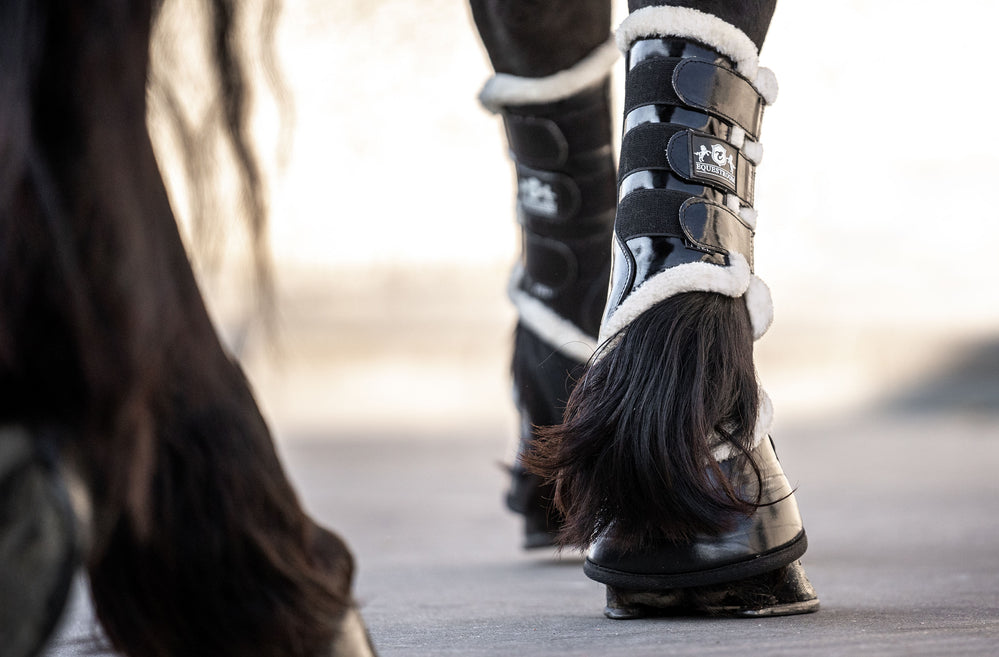 Black Ink Brushing Boots - Equine Exchange Tack Shop