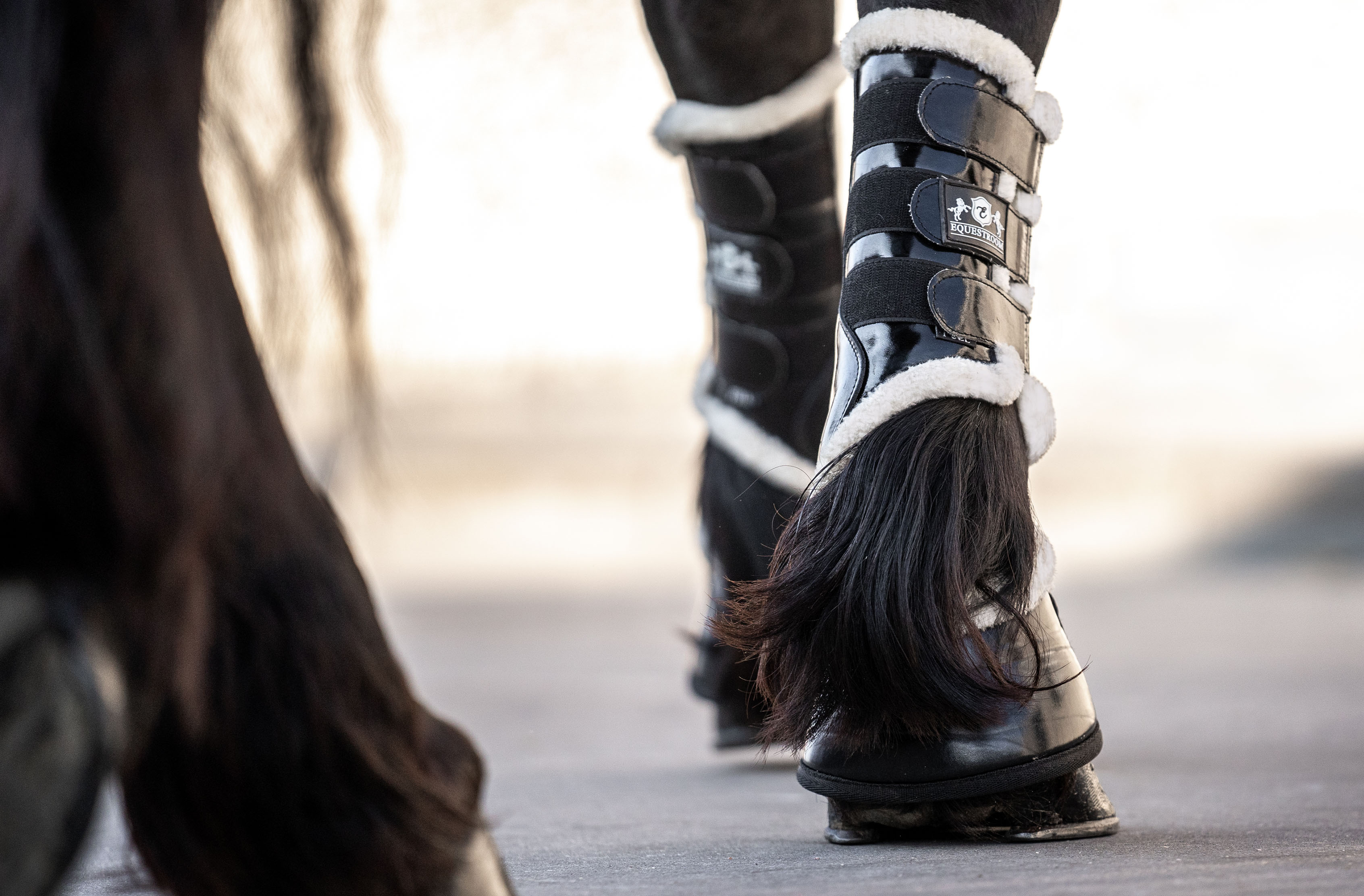 Black Ink Brushing Boots - Equine Exchange Tack Shop