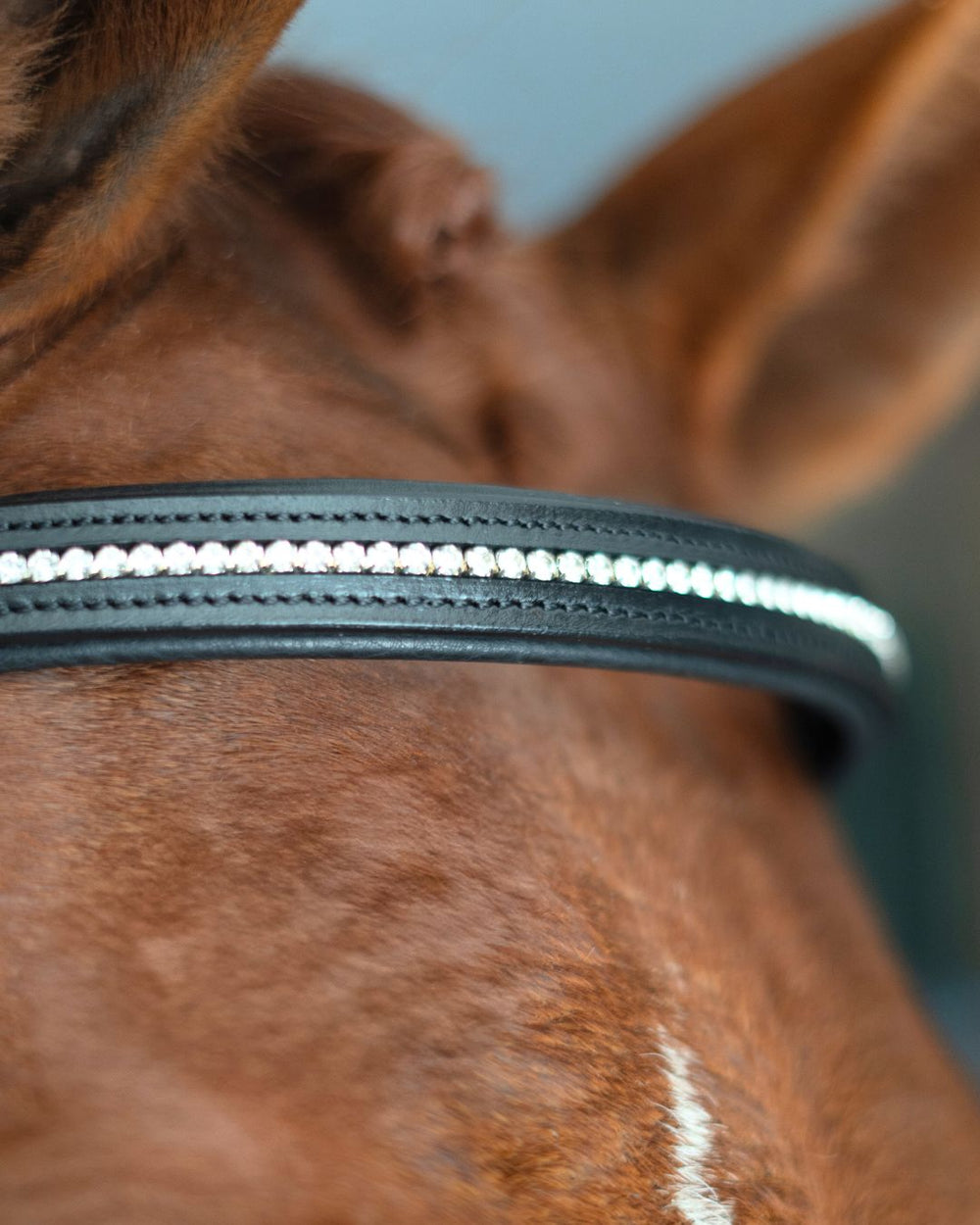 Hidden Flash!  Pro-Fit Comfortable Bridle - Equine Exchange Tack Shop