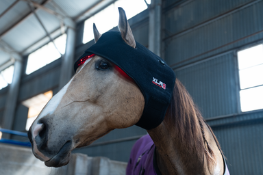 Redline Poll/Neck Wrap - Equine Exchange Tack Shop