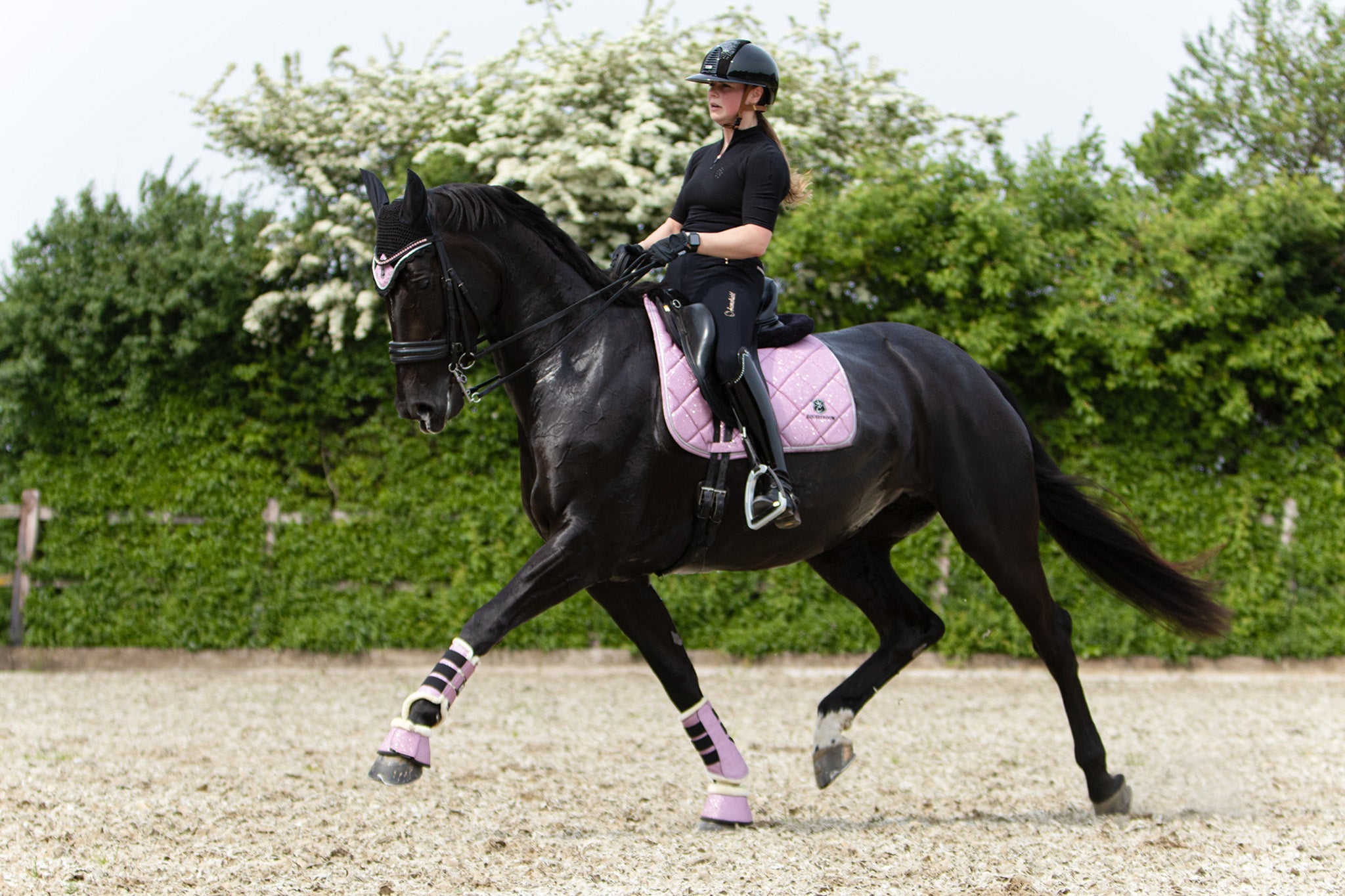Pink Mist Bell Boots - Equine Exchange Tack Shop