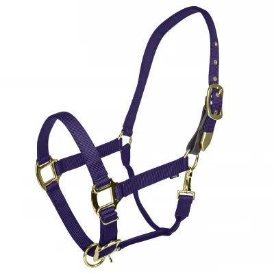 Gatsby Gold Nylon Breakaway Tab Halter