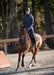 All Trek Performance Quilted Jacket  