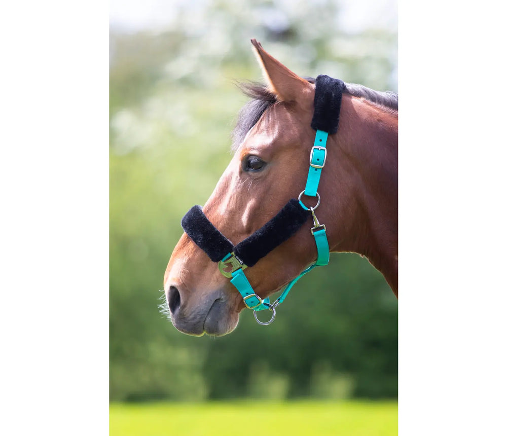 Arma Nylon/Fleece Breakaway Halter - Equine Exchange Tack Shop