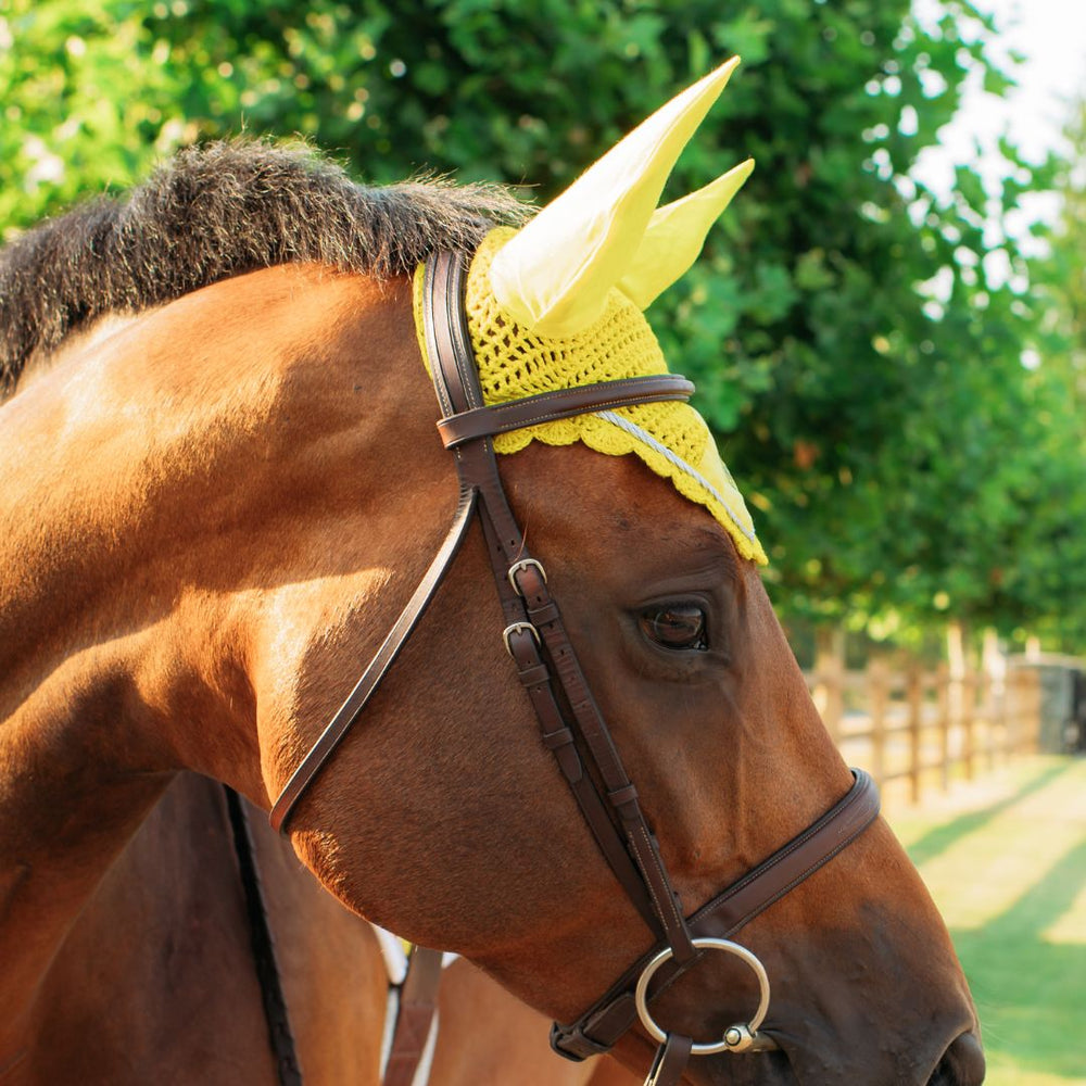 Mimosa Fly Hat - Equine Exchange Tack Shop