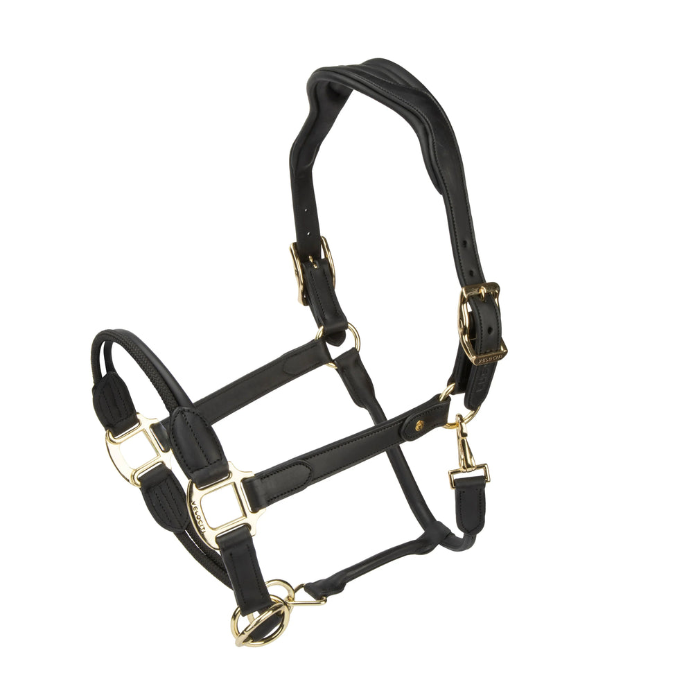 Velociti Lusso Soria Control Halter - Equine Exchange Tack Shop